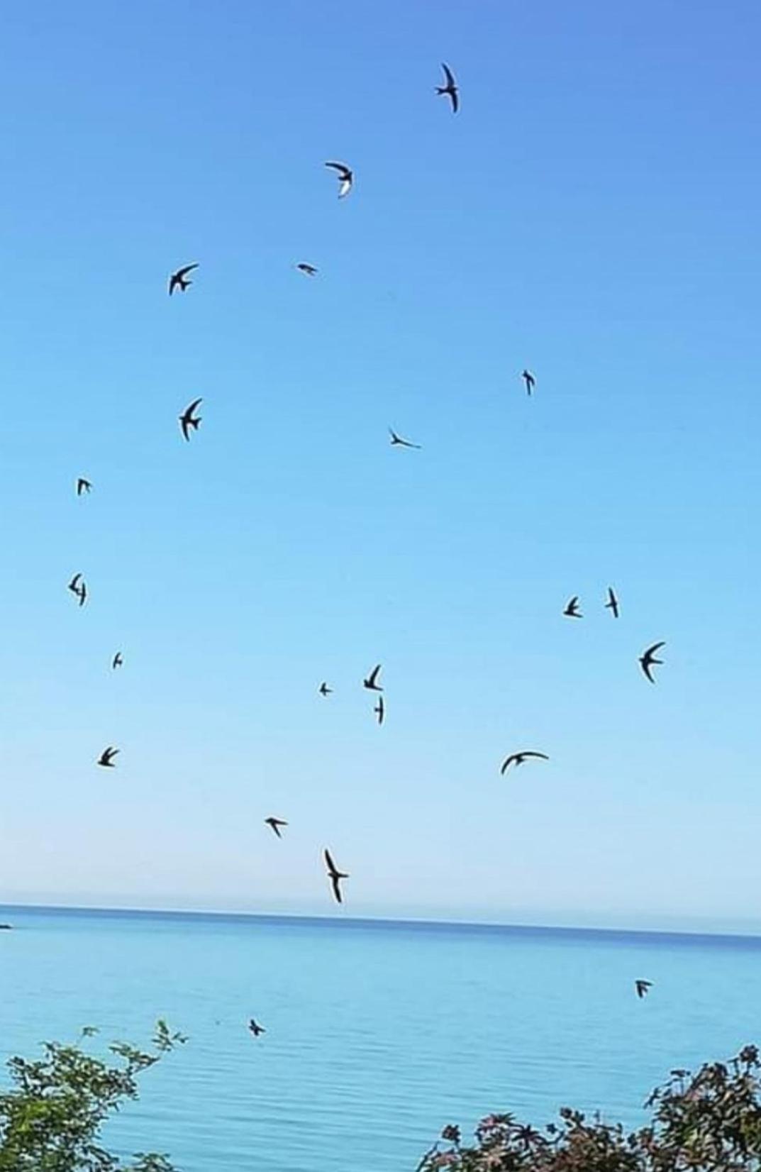 Mediterraneo Travel Gela Luaran gambar